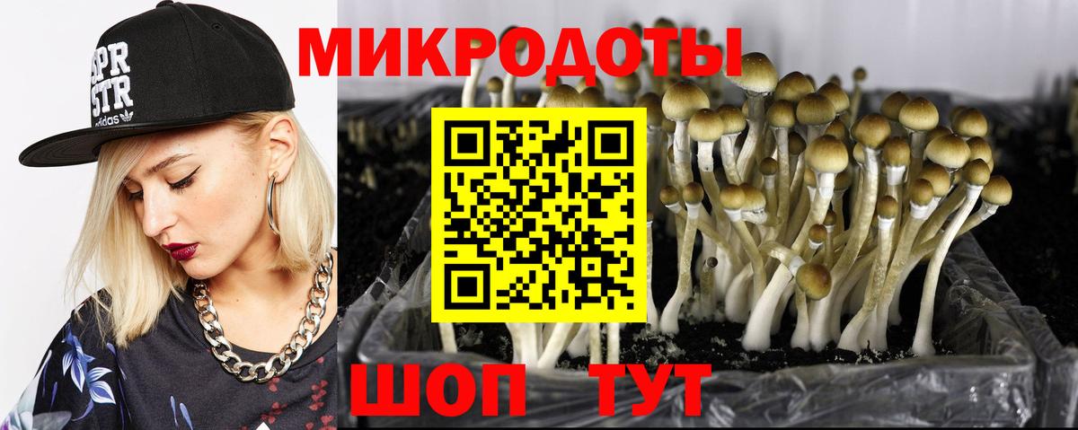 Галлюциногенные грибы Cubensis  Вход с VPN  Лангепас 